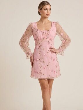 Allison & Kelly Sheer Sleeve Pink Floral Embroidered Mini Dress Mesh Overlay 16